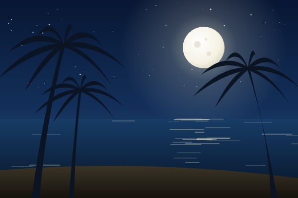 Moonrise over a bay with palm trees